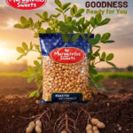 Roasted-Groundnut-500G-1