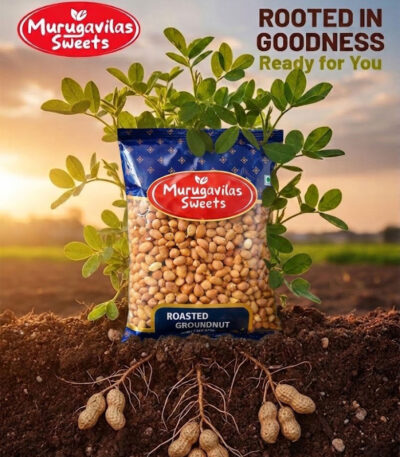 Roasted-Groundnut-500G-1